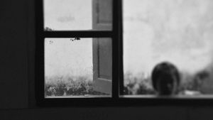 Of That Which Remains #009