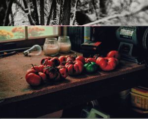 Dad's Recent Crop