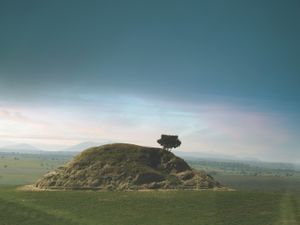 Hill with a tree (Bretagne. France)