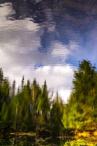 Liquid Sky 10