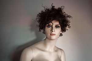 THE MILA PROJECT