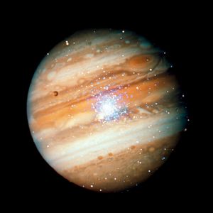 Universum #21
