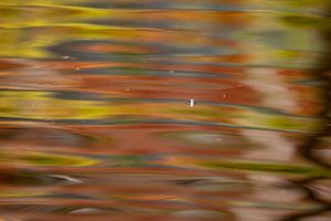 Impressioni d'autunno_02