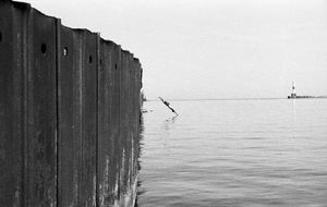 © Flavio Martin Morante