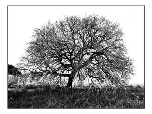 Shy soul - Deep breath