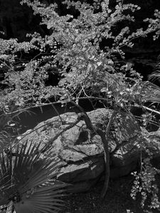 Untitled, Orlando, FL, 1 8 22, Photo by Joe Bruha, Copyright 2022