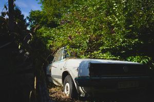 The butcher who wanted to be a mechanic