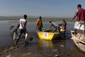 Men at Fishermen Work #2