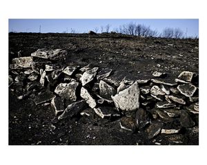 Portraits of a fire / Retratos de un incendio