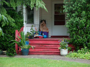 Red Porch