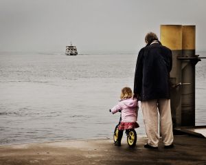 The Arrival   © Seán Duggan