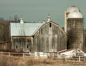 Farm in Field