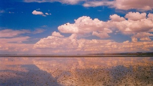 Laguna de Pozuelos. Monumento natural. Puna jujeña. Argentina