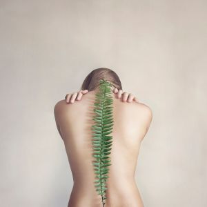 Support (*Fern #1)