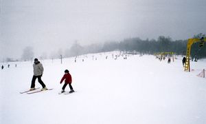 Snowplough