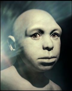 Homo antecessor (2018)