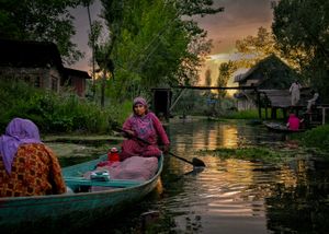 Backwaters of Dal Lake