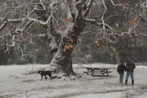 Winter Storm Zenobia