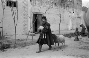 Man with Sheep