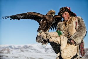 Eagle Hunter Asker CO109