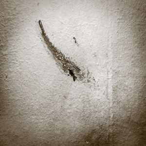 LUDLQ_12
