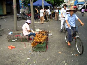 Street seller of chickens
