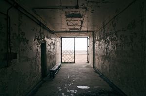 Untitled 3