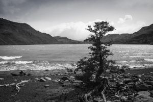 Lago Gray