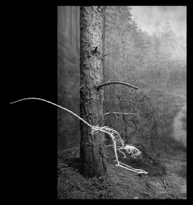 Nature Morte 7