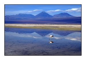 Chile #3