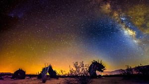 Serpent Attacks Borrego Springs