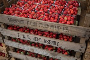 Strawberries