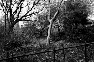 Central Park