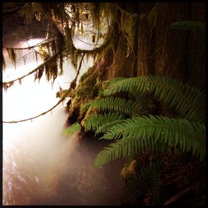 Silt Creek