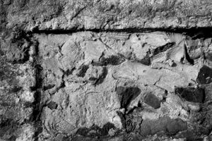 Dead Alentejo