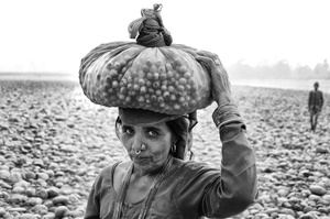 Jungle fruitpicker