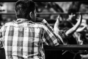 © Francisco Alcala Torreslanda