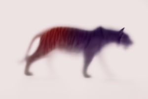 Wildblur-zoo-05.jpg