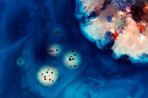 Other Worlds