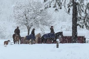 Snow day visit from the ranchers