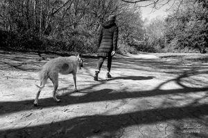 On Hampstead Heath | 15