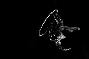 Aerial Art - Elegance - Lucioza