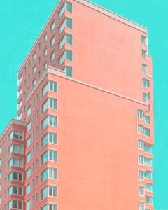 Color of New York