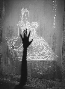 The shadow