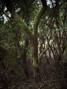 Quiet Isolation | Outland | Salina, Sicily | No. 2