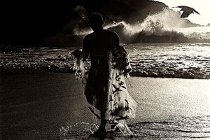 THE BIRD AND THE FISHER