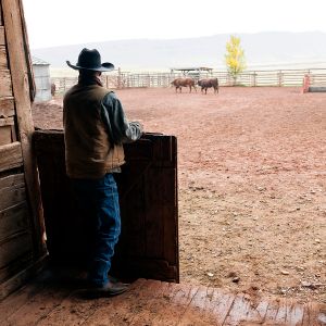 Willow Creek Ranch