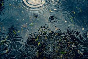 Van Gogh tears