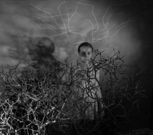 Branching Worlds.             It is theoretically plausible that all alternative histories of events are real, and everything that could have but has not occurred in our universe, has occurred in another, parallel, universe, no less real. © Nana Lutea