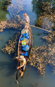 Pirogue
